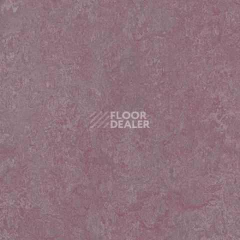 Линолеум Forbo Marmoleum Marbled Real 3272 Plum фото 1 | FLOORDEALER